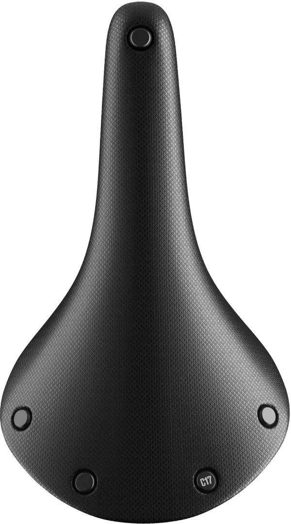 Brooks Cambium C17 Saddle