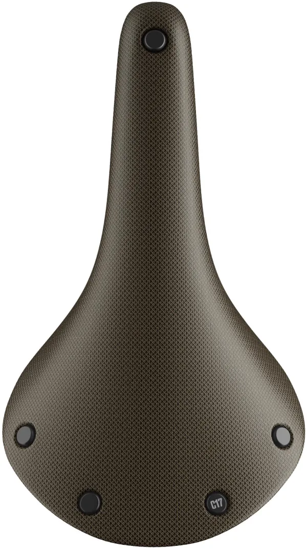 Brooks Cambium C17 Saddle