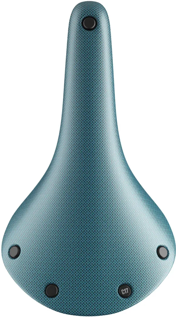 Brooks Cambium C17 Saddle