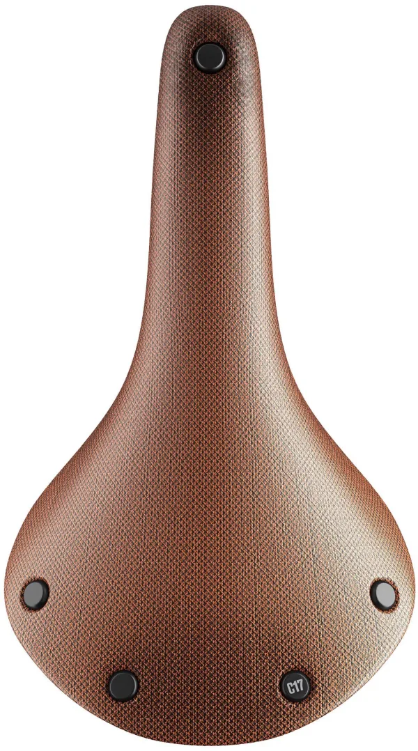 Brooks Cambium C17 Saddle